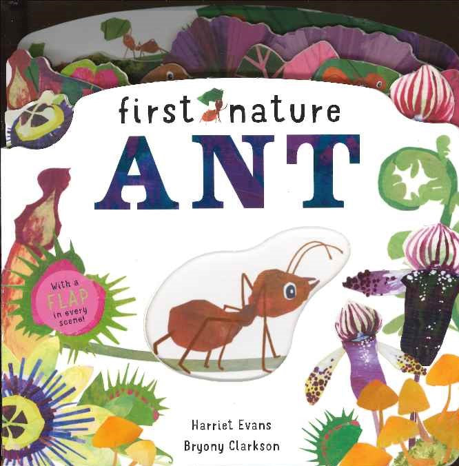 Première nature : ANT