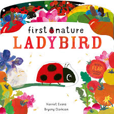 First Nature : LADYBIRD